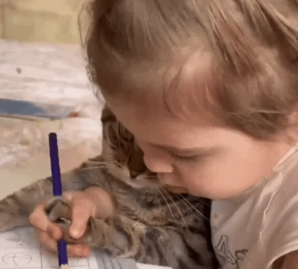 32df0e55f9f8764988d818b8cadccbdf_1668957366_0381.gif