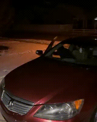 32df0e55f9f8764988d818b8cadccbdf_1669736534_4003.gif