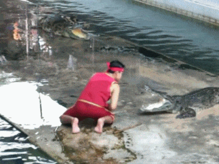 7bc24b8969b89619ca18b92a6f9dd904_1669134248_4678.gif