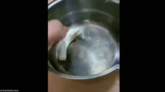 32df0e55f9f8764988d818b8cadccbdf_1669822696_8463.gif