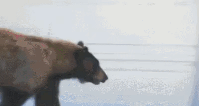 32df0e55f9f8764988d818b8cadccbdf_1669995685_1641.gif