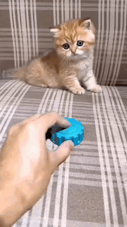 32df0e55f9f8764988d818b8cadccbdf_1670255253_4956.gif