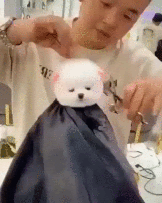 32df0e55f9f8764988d818b8cadccbdf_1670686901_6936.gif