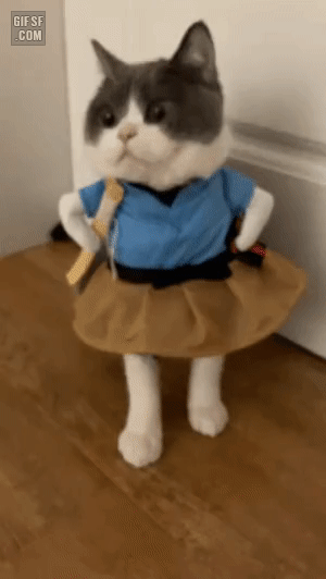 32df0e55f9f8764988d818b8cadccbdf_1670866848_9137.gif