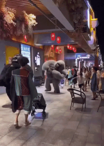 32df0e55f9f8764988d818b8cadccbdf_1671552463_3081.gif