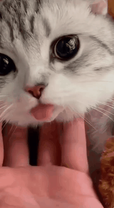 32df0e55f9f8764988d818b8cadccbdf_1671637453_4757.gif