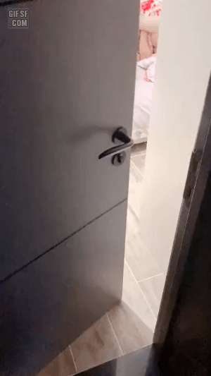 32df0e55f9f8764988d818b8cadccbdf_1671895175_5223.gif