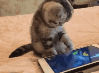 32df0e55f9f8764988d818b8cadccbdf_1673627800_5598.gif