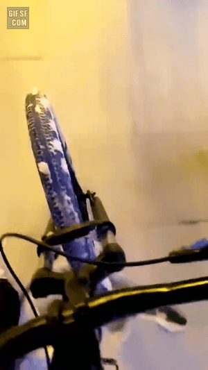 32df0e55f9f8764988d818b8cadccbdf_1673714203_2754.gif