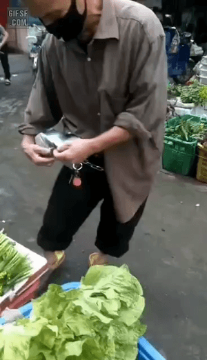 32df0e55f9f8764988d818b8cadccbdf_1673882771_6384.gif