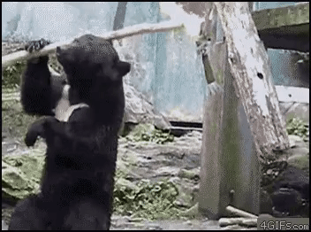 32df0e55f9f8764988d818b8cadccbdf_1674085466_1998.gif