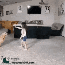 32df0e55f9f8764988d818b8cadccbdf_1674401718_6903.gif