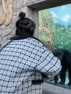 32df0e55f9f8764988d818b8cadccbdf_1674486082_8238.gif