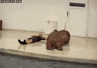 60bec23f9b1858c3b446ca1f5cb79ed6_1676234400_8162.gif