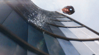 a7aabc84659fa5b4233bae1e2814542d_1718883286_5323.gif
